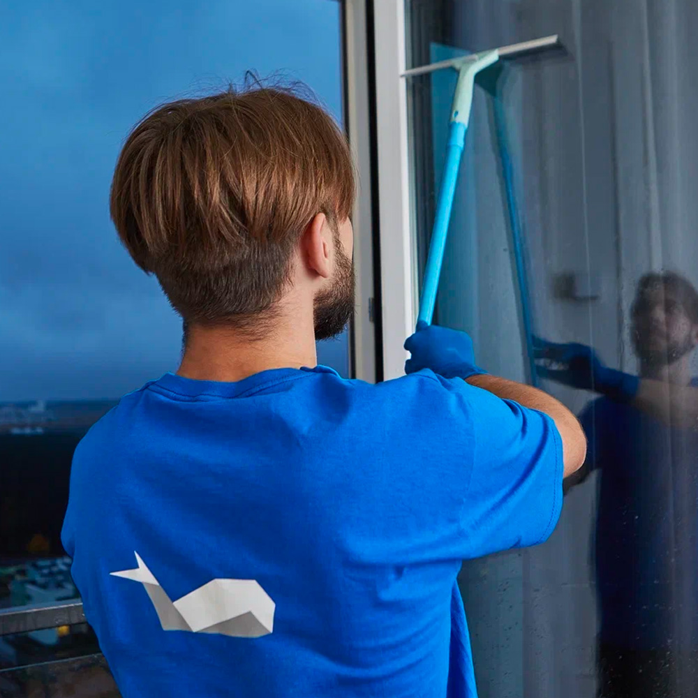 Fenster putzen ohne Streifen frag Mutti – ihre bewährten Reinigungstricks!
