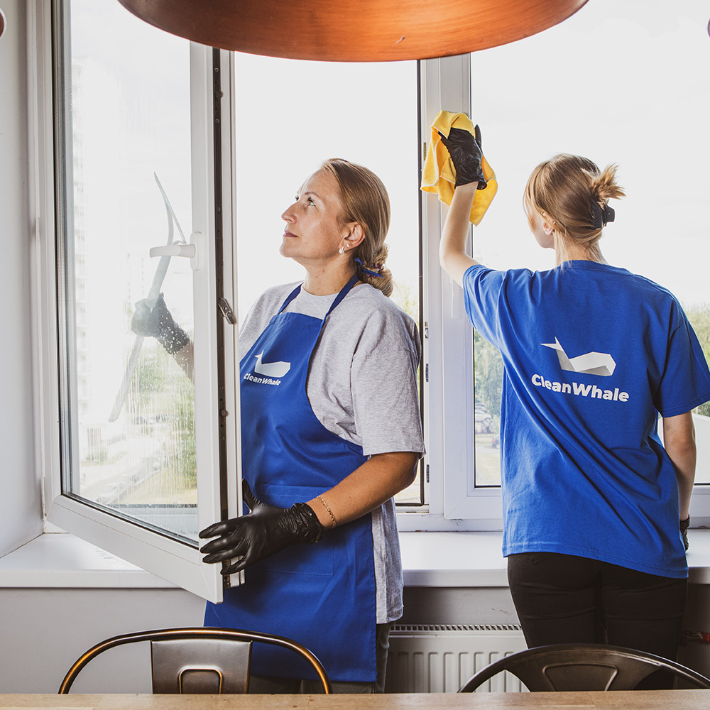Wohnungsübergabe Fenster putzen: Tipps für Mieter