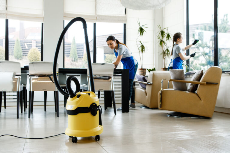 Master the Basics of Cleaning: Essential Rules and Expert Tips for a Pristine Home