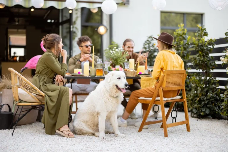 Navigating Airbnb Regulations in Berlin: What Every Host Should Know