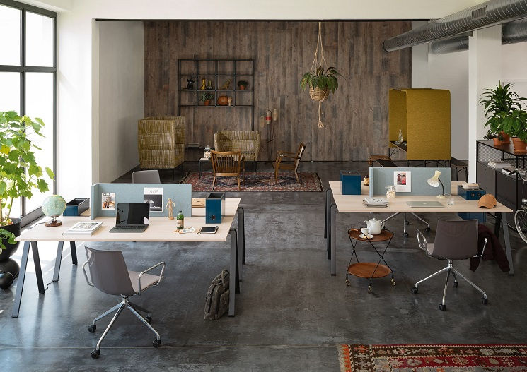 Unlock Productivity: The Ultimate Guide to Office & Shared Space Cleaning Services