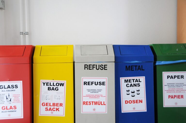Your Ultimate Guide to Mastering German Recycling Rules: From Novice to Pro