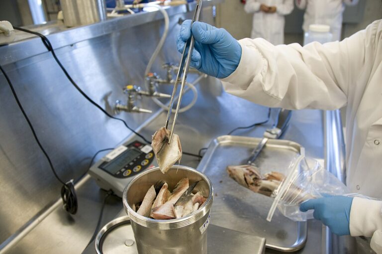 Stay Safe & Sound: 9 Essential Grocery Store Hygiene Tips in Germany