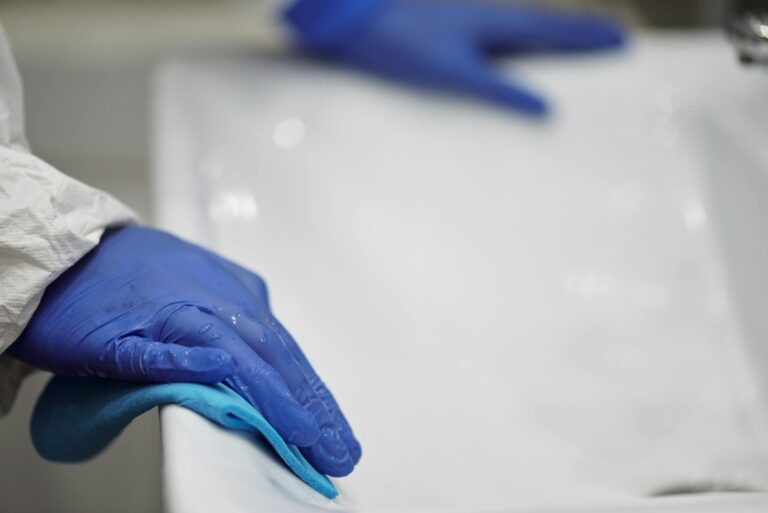 Cleanwhale: Ihr zuverlässiger Partner für Reinigungsdienste in Berlin